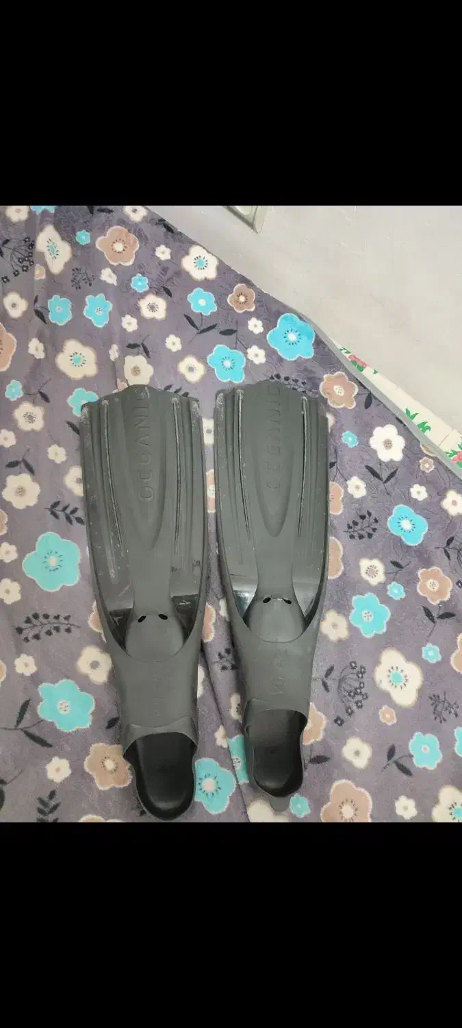 فین غواصی|غواصی و ورزش‌های آبی|بندرعباس, |دیوار