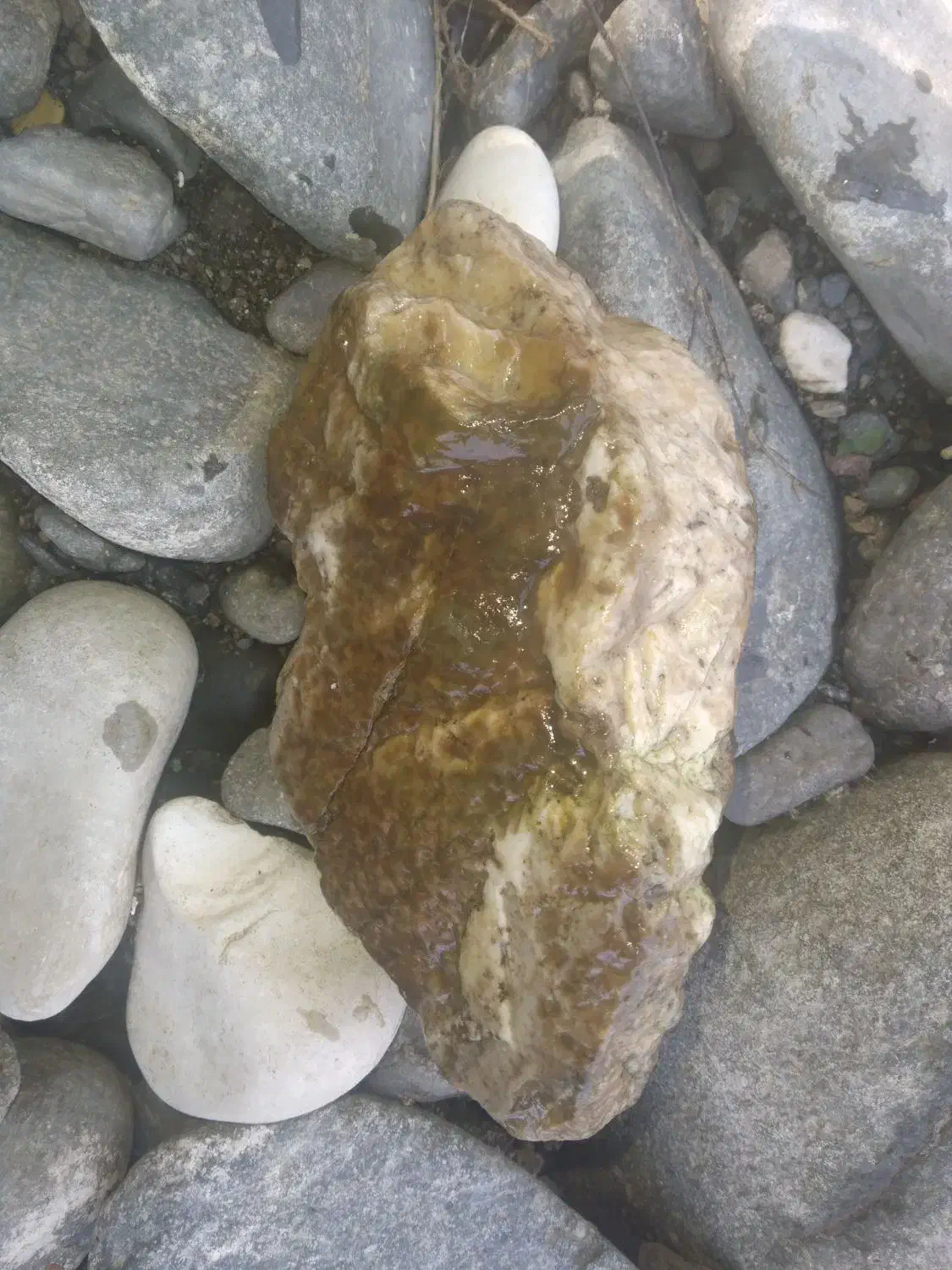 سنگ خاص|کلکسیون اشیاء عتیقه|املش, |دیوار