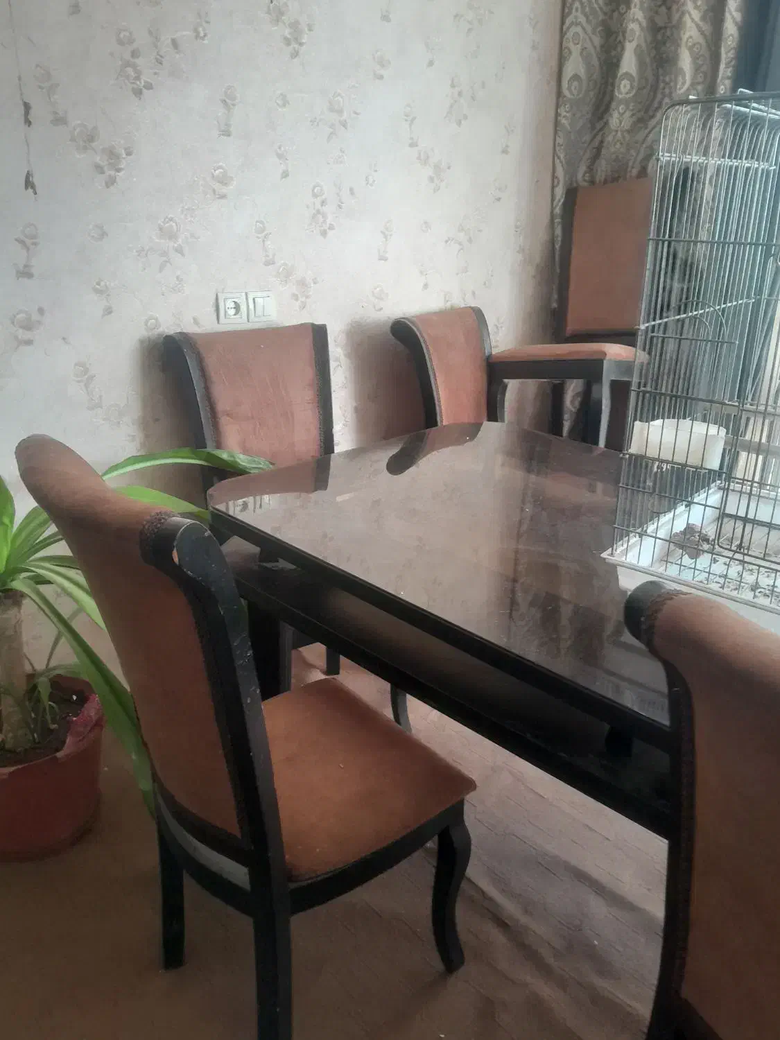 فروش میز غذاخوری|میز و صندلی غذاخوری|نجف‌آباد, امیرآباد|دیوار