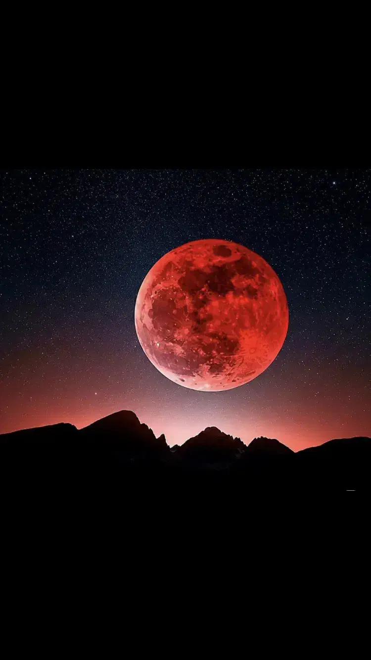 عکس دومی|تابلو، نقاشی، عکس|بیرجند, |دیوار