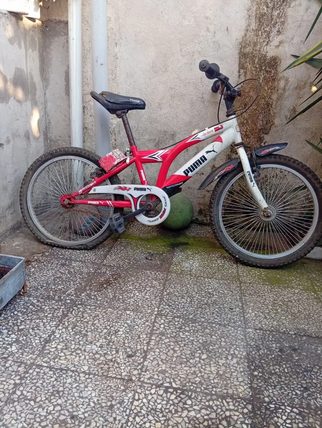 دوچرخه پوما|دوچرخه، اسکیت، اسکوتر|آستانه اشرفیه, |دیوار