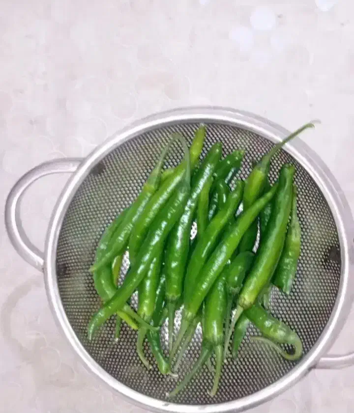 فلفل سبز محلی  و ترشی سالاد زمستانی|خوردنی و آشامیدنی|بیجار, |دیوار