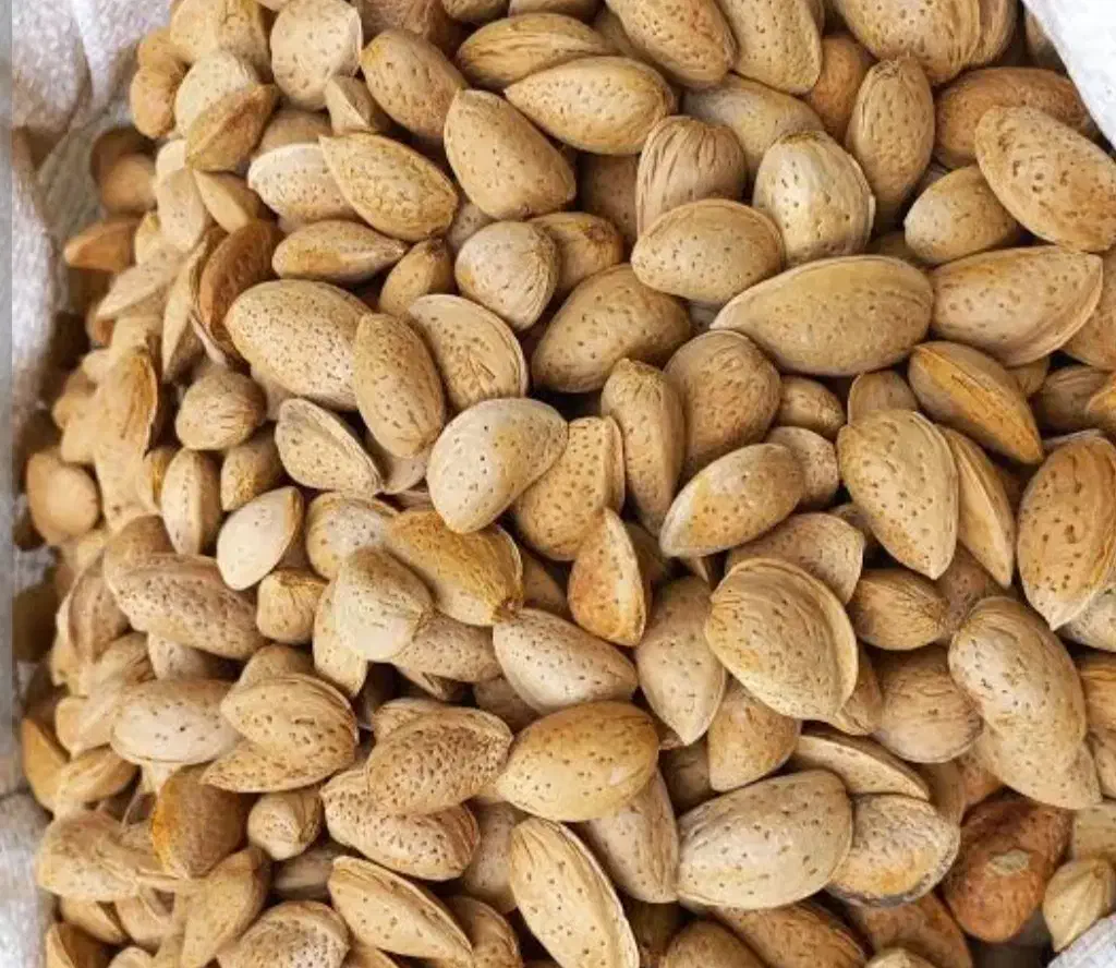 بادام درختی|خوردنی و آشامیدنی|قره قوین, |دیوار