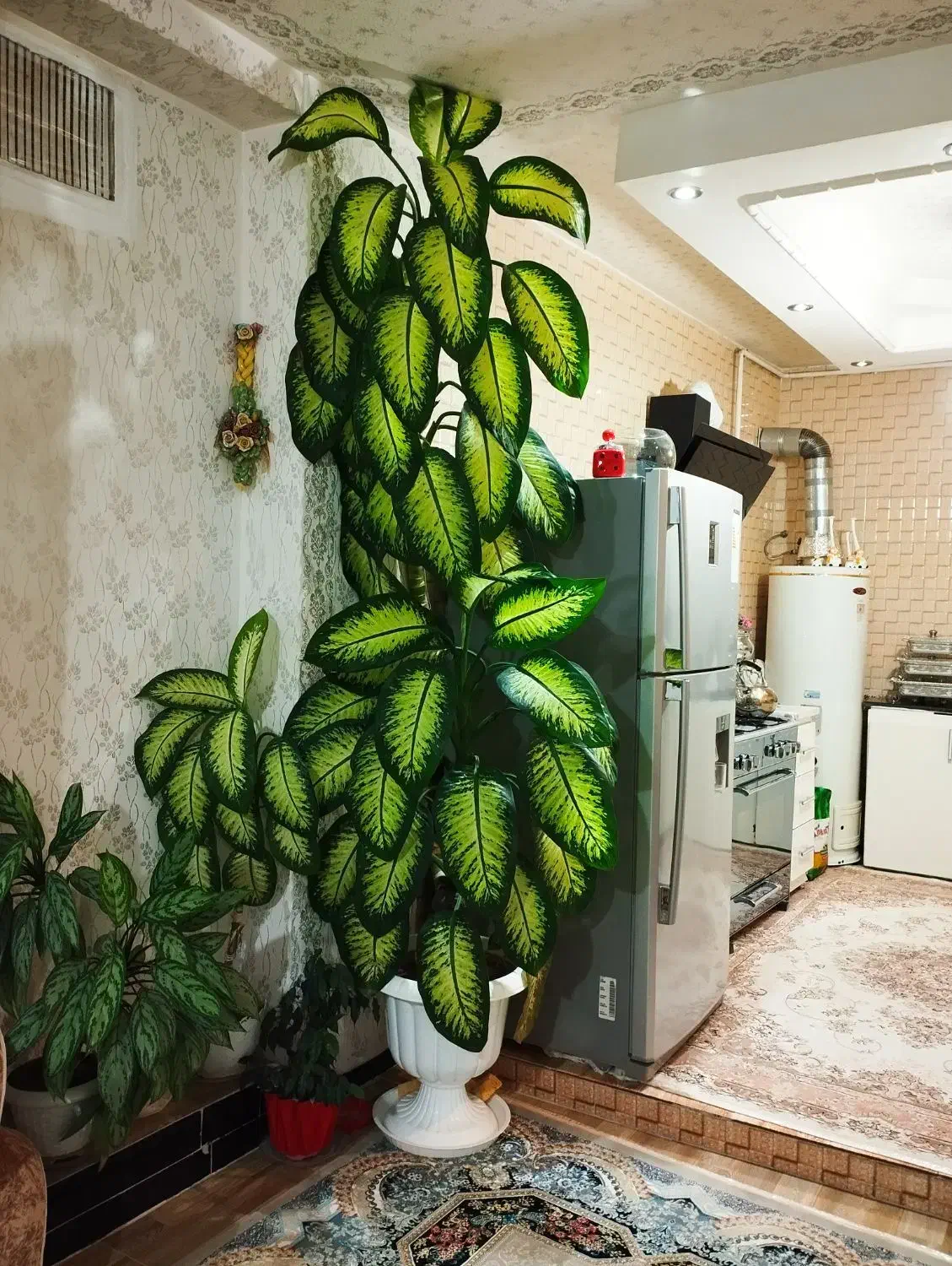 گل دیفن|گل و گیاه طبیعی|سنندج, |دیوار