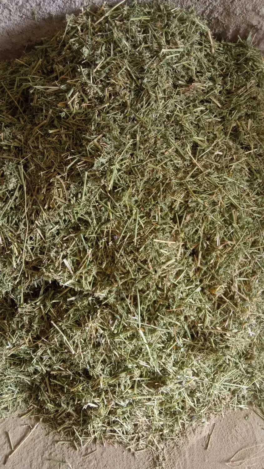 یونجه|لوازم جانبی حیوانات|اسفراین, |دیوار