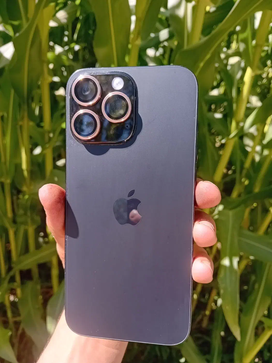 اپل iPhone 16 Pro Max با حافظهٔ ۱ ترابایت|موبایل|اراک, |دیوار