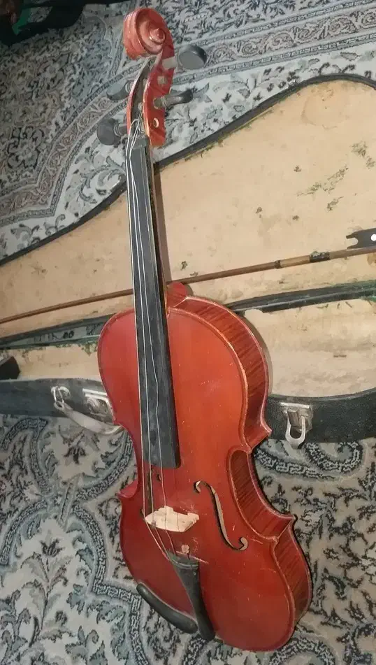 ویولن کلکسیونی|ویولن|اصفهان, دانشگاه اصفهان|دیوار
