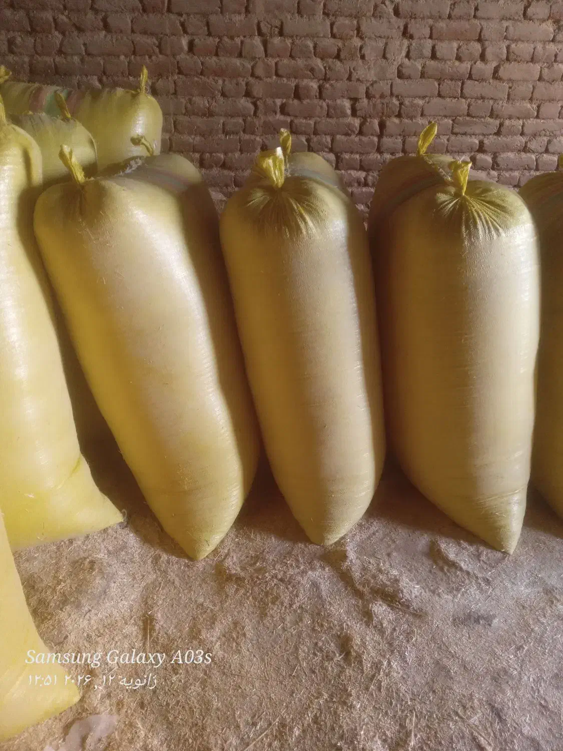 کاه|لوازم جانبی حیوانات|مراغه, |دیوار