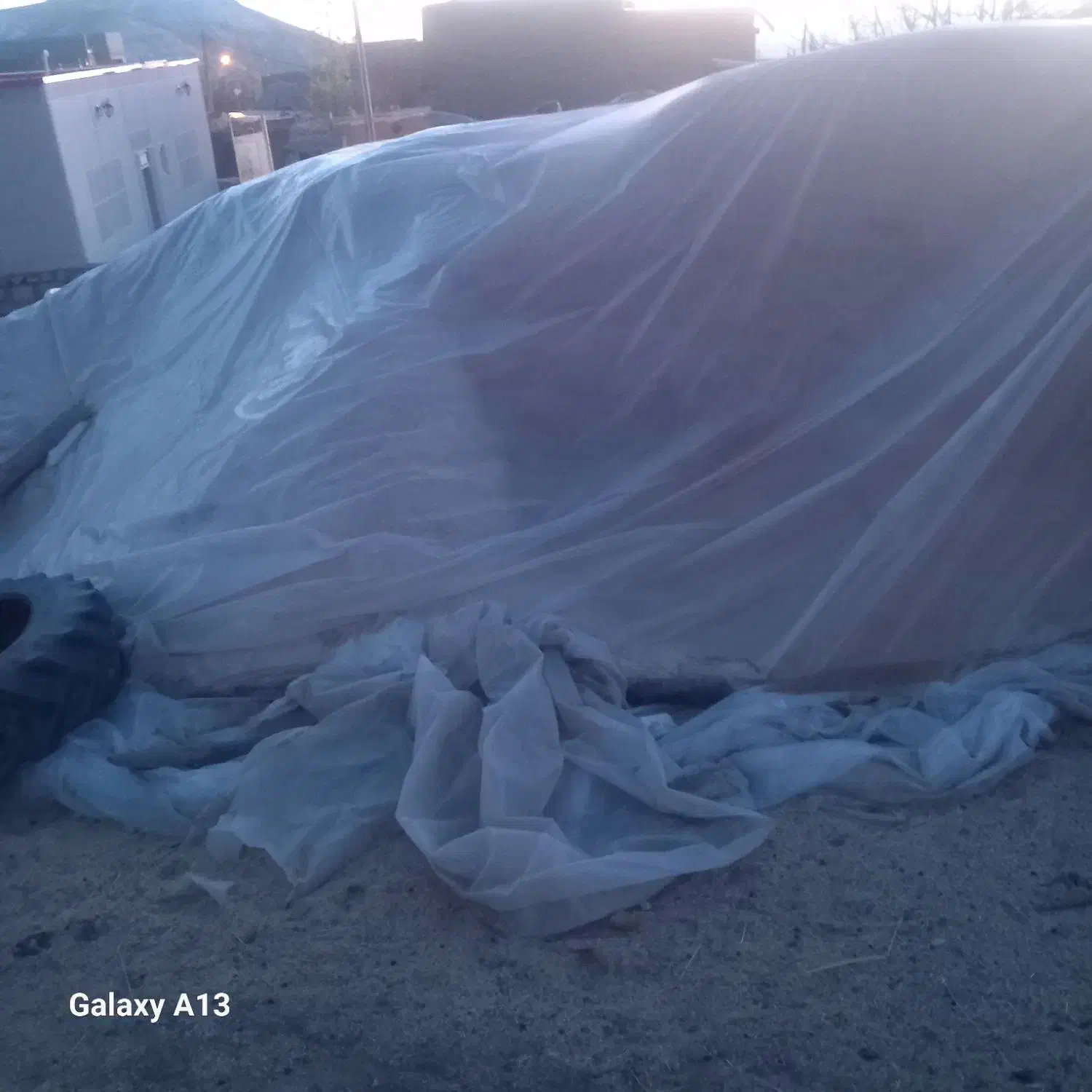 کاه گندم خرمنکوب|عمده‌فروشی|تیکمه داش, |دیوار