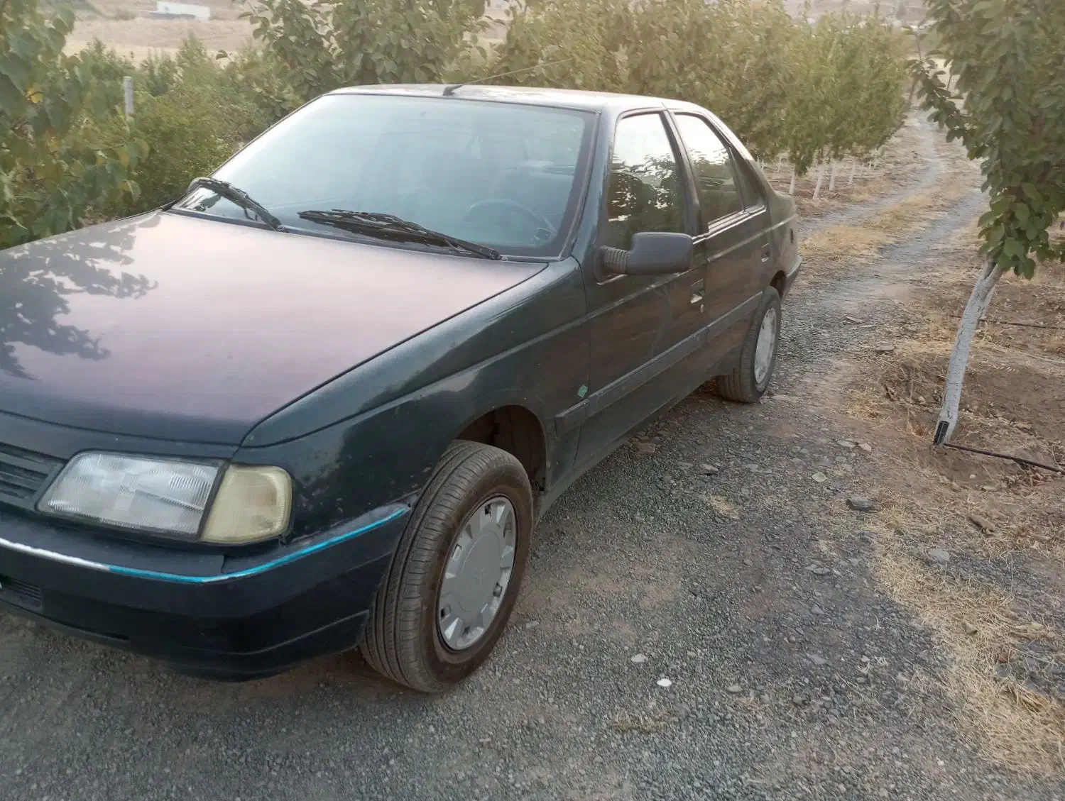 اردی مدل ۸۴|خودرو سواری و وانت|سنندج, |دیوار