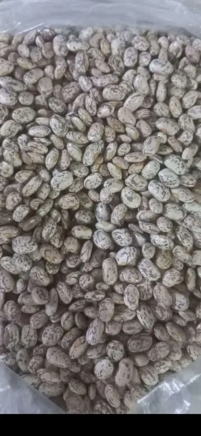 لوبیا چیتی|خوردنی و آشامیدنی|معمولان, |دیوار