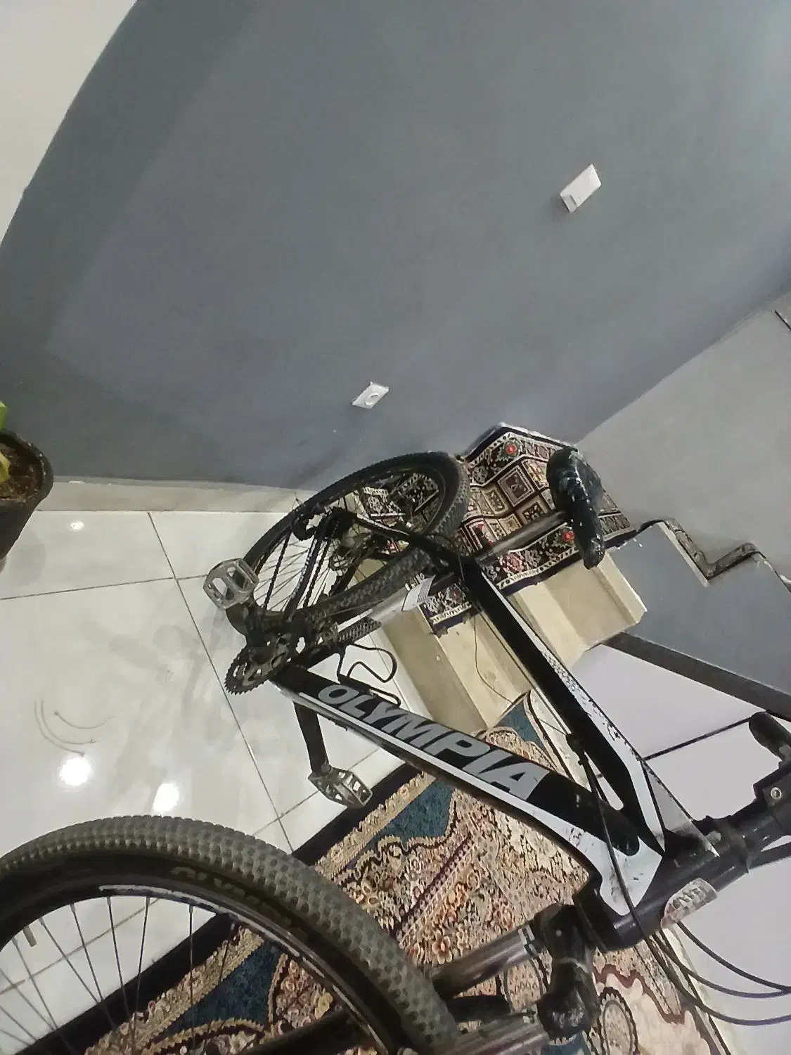 دوچرخه|دوچرخه، اسکیت، اسکوتر|مشهد, نوده|دیوار