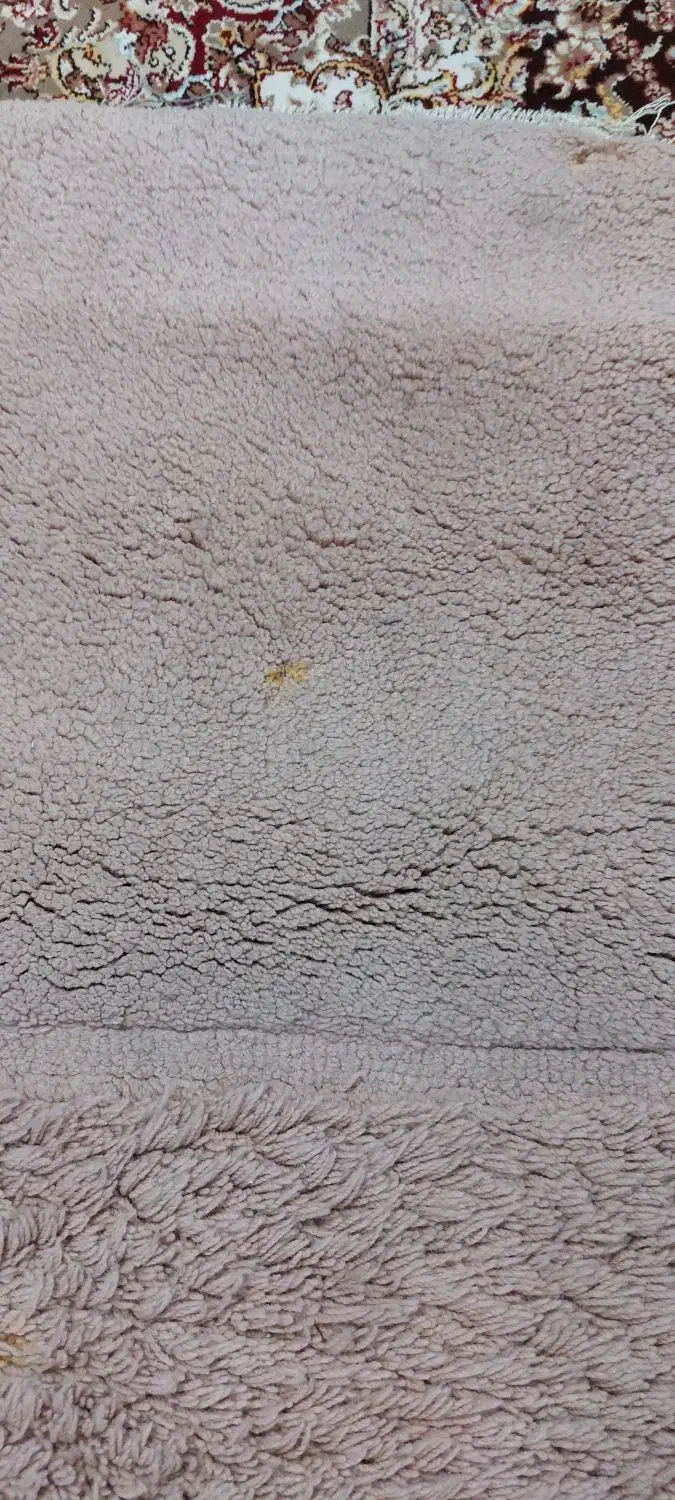 فرش آشپزحانه و موکت تشریفات|فرش|ارومیه, |دیوار