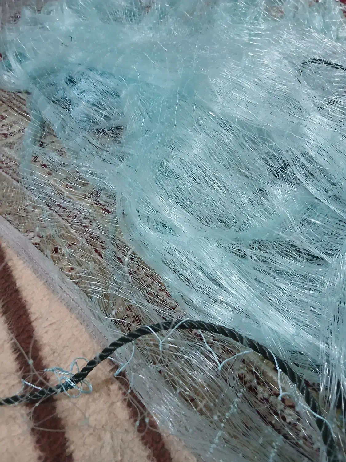 تور قبادی|ماهیگیری|بندر دیر, |دیوار