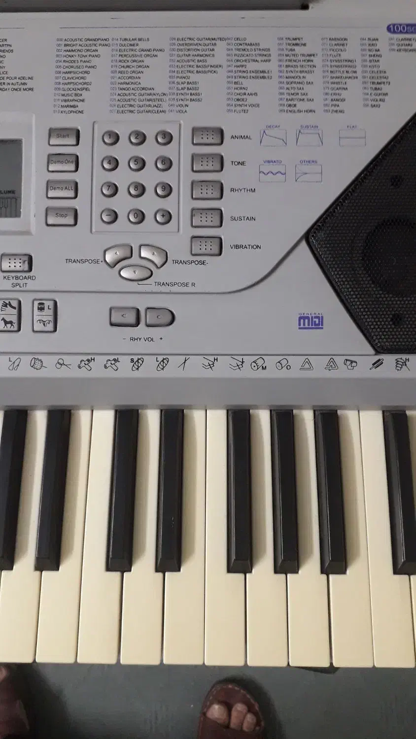 اورگ یا پیانو|پیانو، کیبورد، آکاردئون|مشهد, طلاب|دیوار