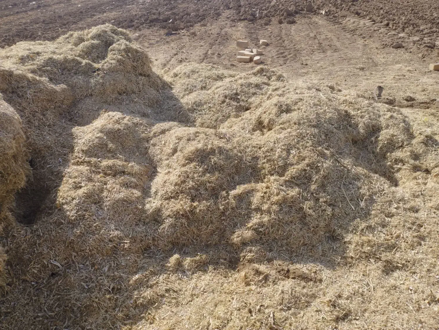 کاه لوبیا همدان|لوازم جانبی حیوانات|رزن, |دیوار