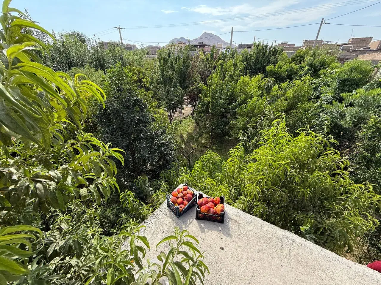 فروش ویلایی ب۴ شمالی شیک ۳ خواب|فروش خانه و ویلا|فولادشهر, B4|دیوار
