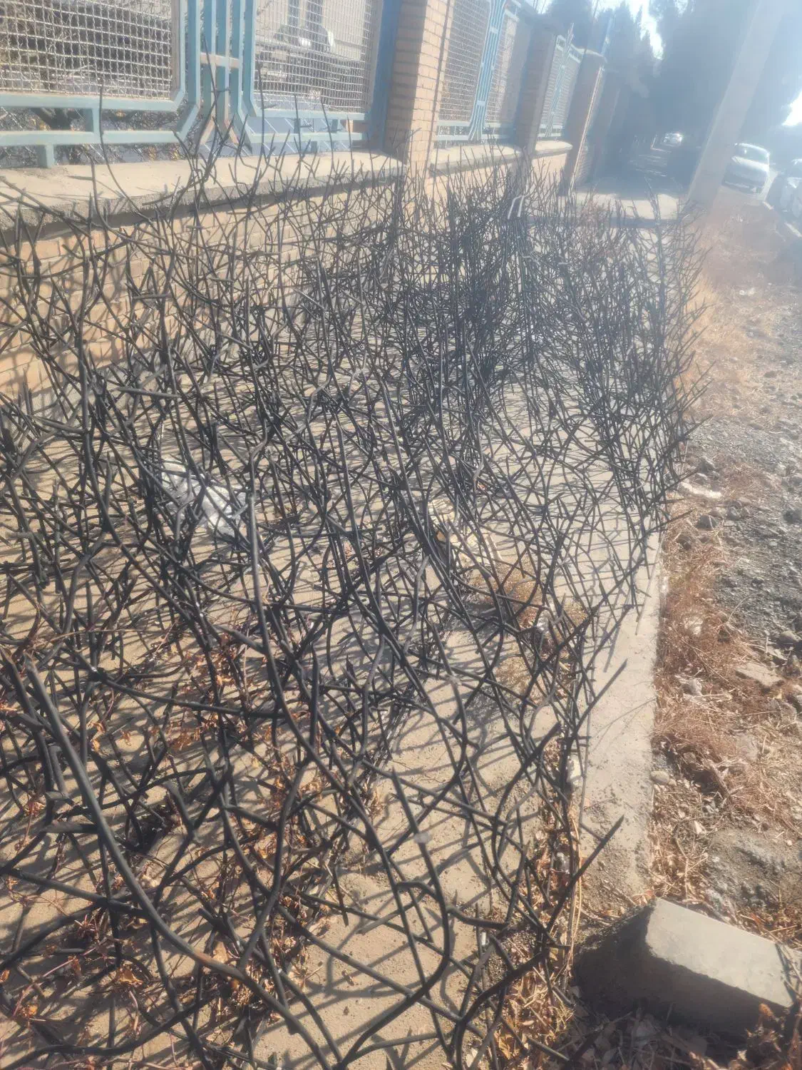 حفاظ روی دیوار مدل شاخ گوزنی|مصالح و تجهیزات ساختمان|مشهد, شهرک صنعتی توس|دیوار