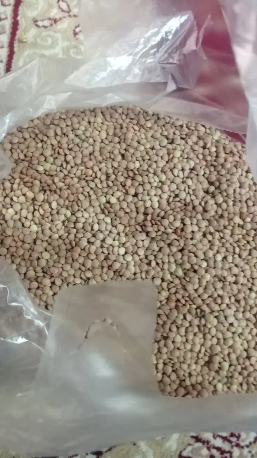 حبوبات درجه یک|خوردنی و آشامیدنی|شیراز, عادل آباد|دیوار
