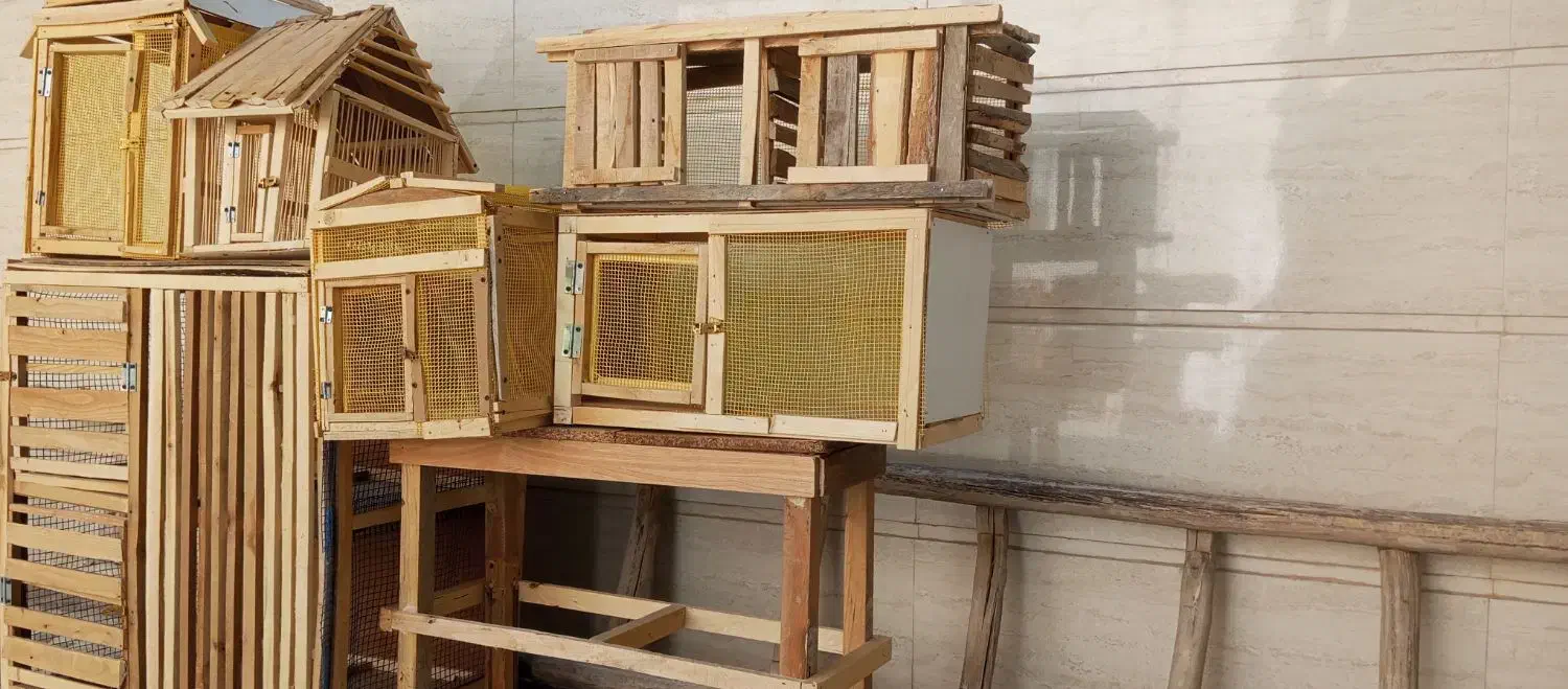 تعدادی قفس پرنده و استند|لوازم جانبی حیوانات|داراب, |دیوار