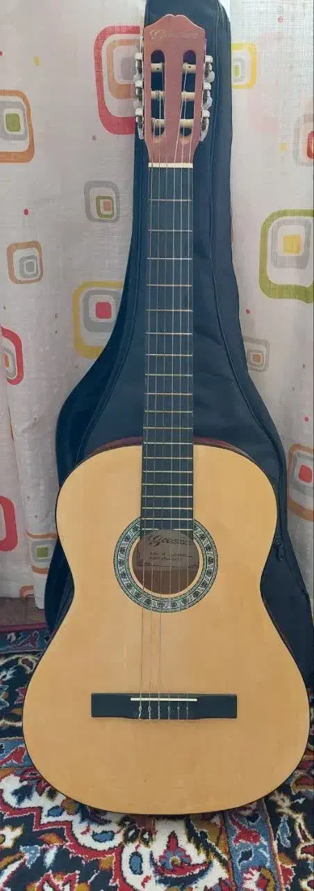 گیتار گود من نو|گیتار، بیس، امپلیفایر|ملارد, |دیوار