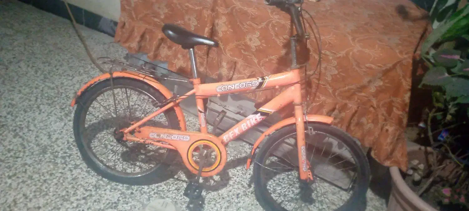 دوچرخه سایز ۲۰ دخترانه|دوچرخه، اسکیت، اسکوتر|گنبد کاووس, |دیوار