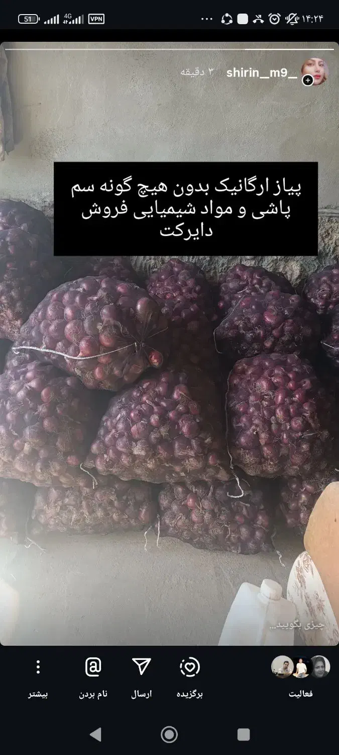 پیاز ارگانیک بدون هیچ سم پاشی و مواد شیمیایی|خوردنی و آشامیدنی|محمدبار, |دیوار
