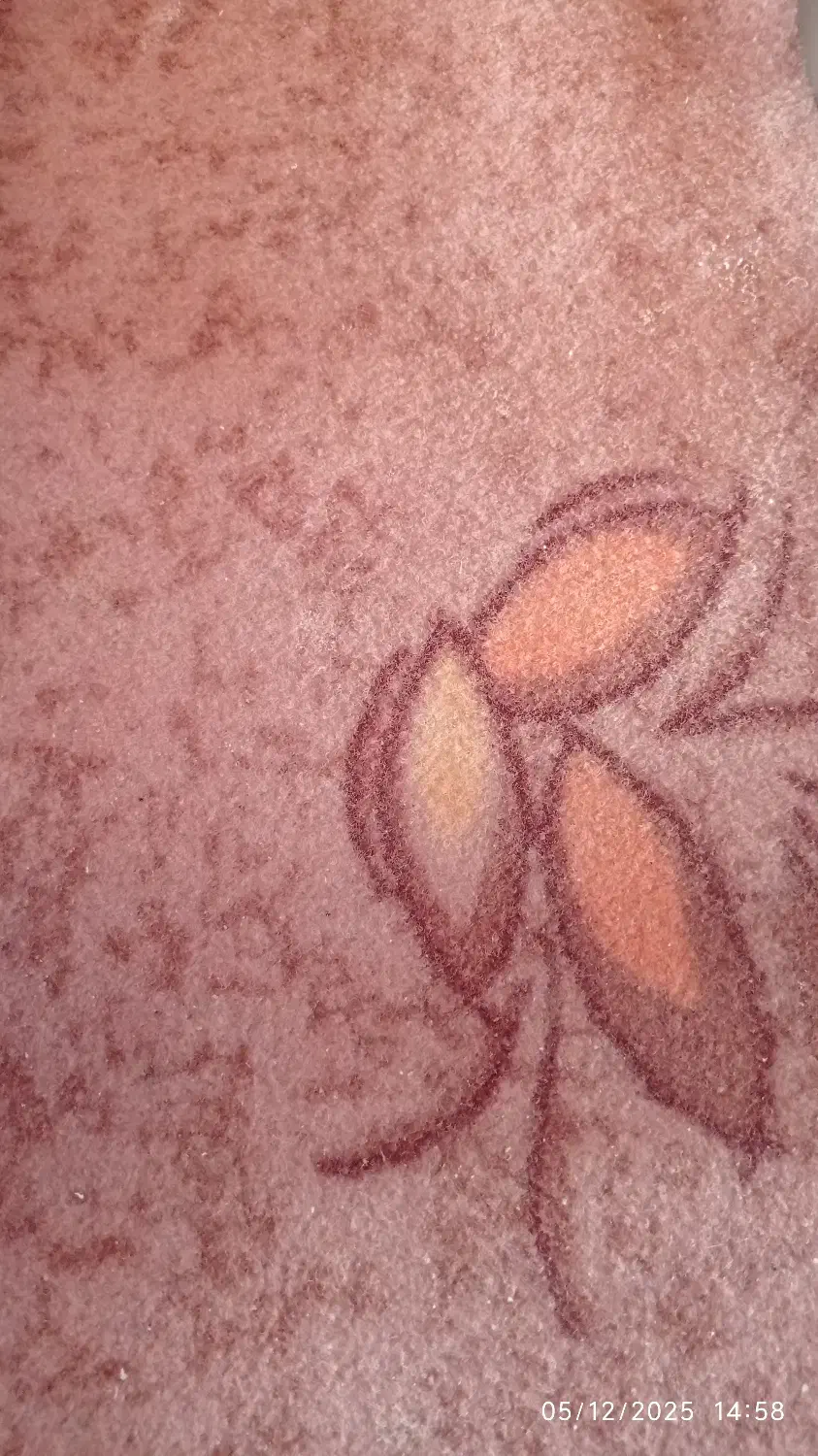 موکت|موکت|میبد, |دیوار