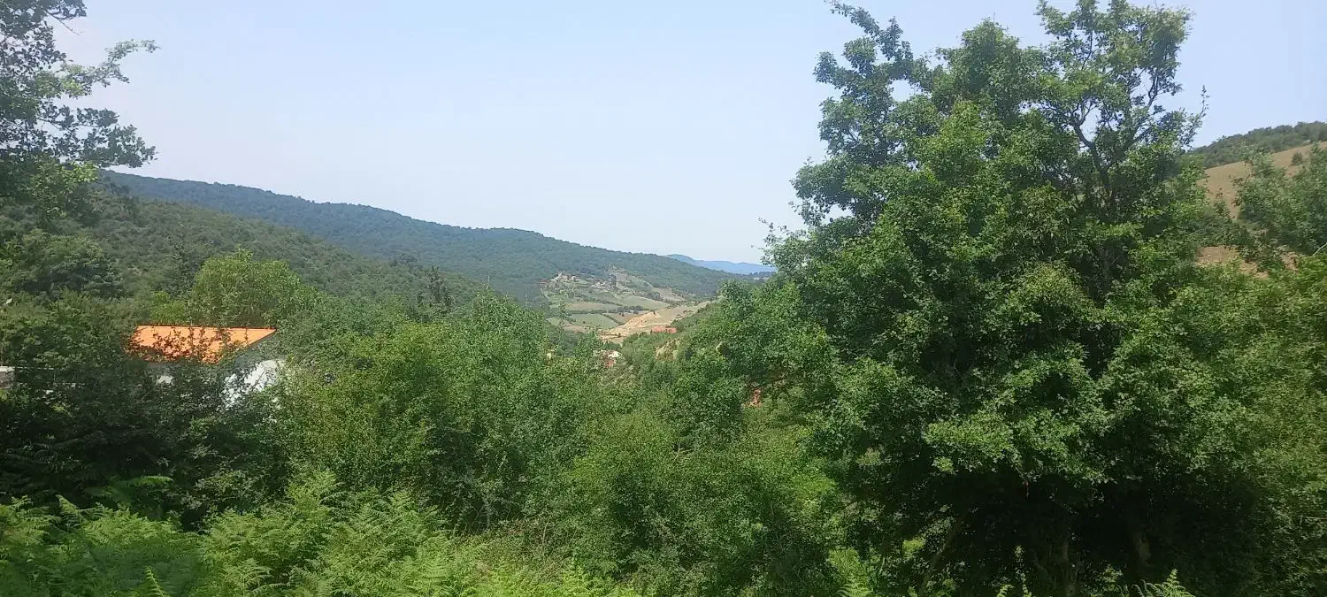 فروش زمین با قابلیت ساخت داخل بافت کاربری مسکونی|فروش زمین و ملک کلنگی|کیاسر, |دیوار