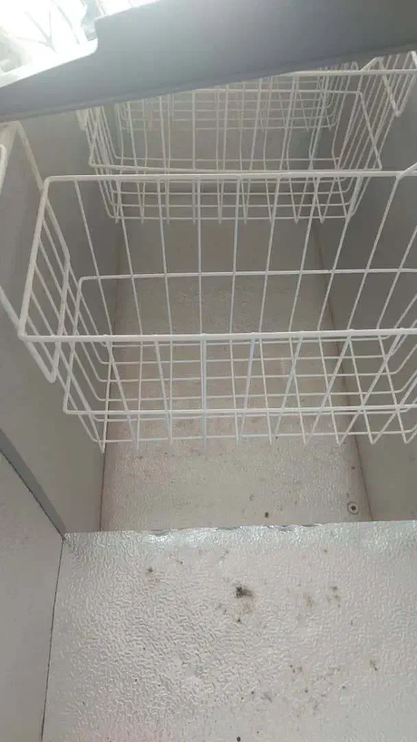 فریزرفروشگاهی درب شیشه ای ۲۵۰ لیتری|فروشگاه و مغازه|اصفهان, صائب|دیوار