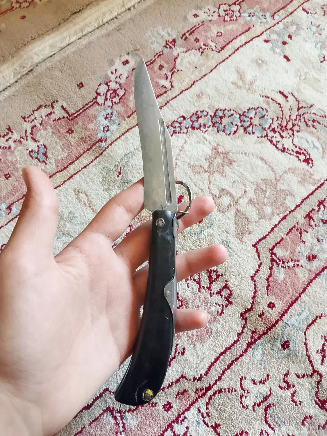 چاقو|کوهنوردی و کمپینگ|مریوان, |دیوار