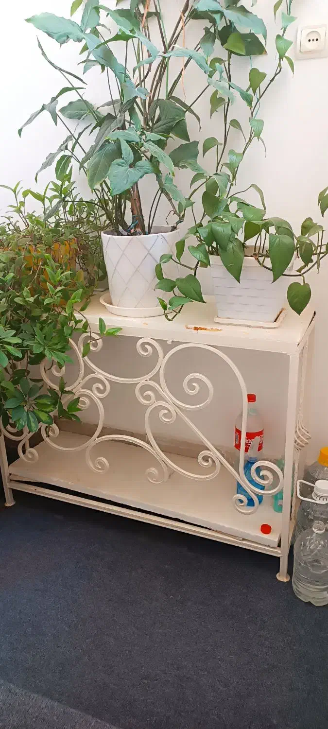 آکواریوم و پایه فرفژه|ماهی|خرم‌آباد, |دیوار