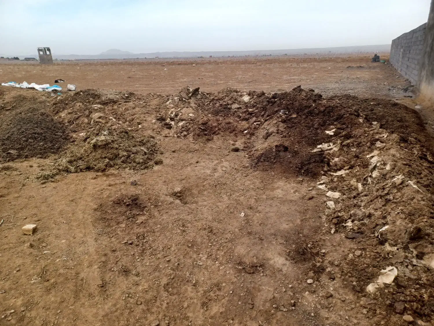 کود بلدرچین|خدمات باغبانی و درختکاری|زرندیه, |دیوار