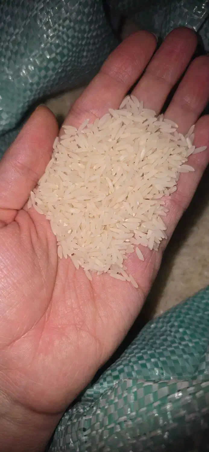 برنج طارم|خوردنی و آشامیدنی|قم, شهرک قدس|دیوار