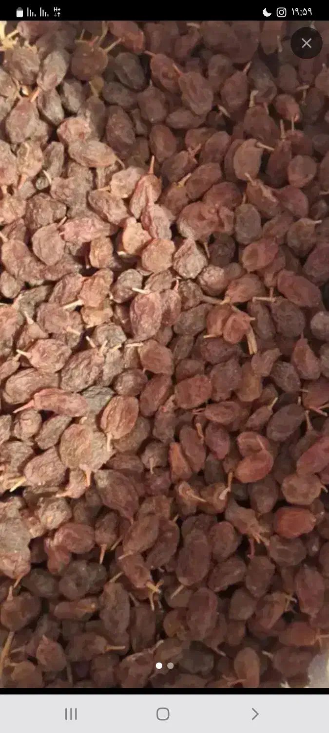 کشمش آفتابی|خوردنی و آشامیدنی|ملایر, |دیوار