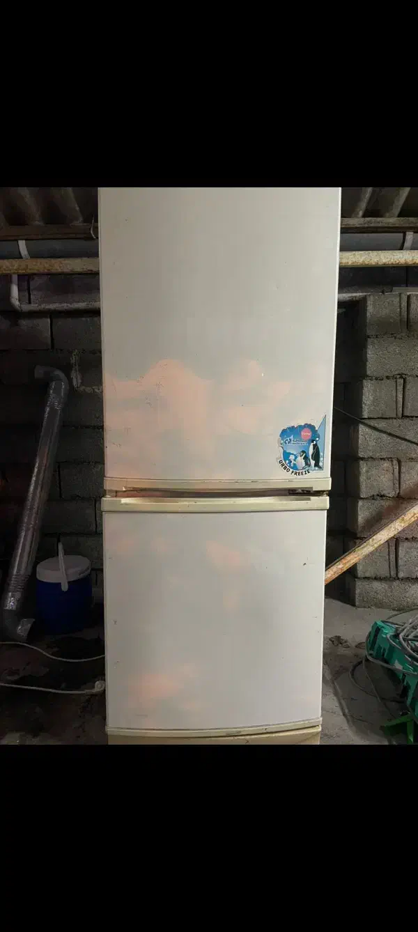 یخچال فریزر|یخچال و فریزر|نوشهر, |دیوار