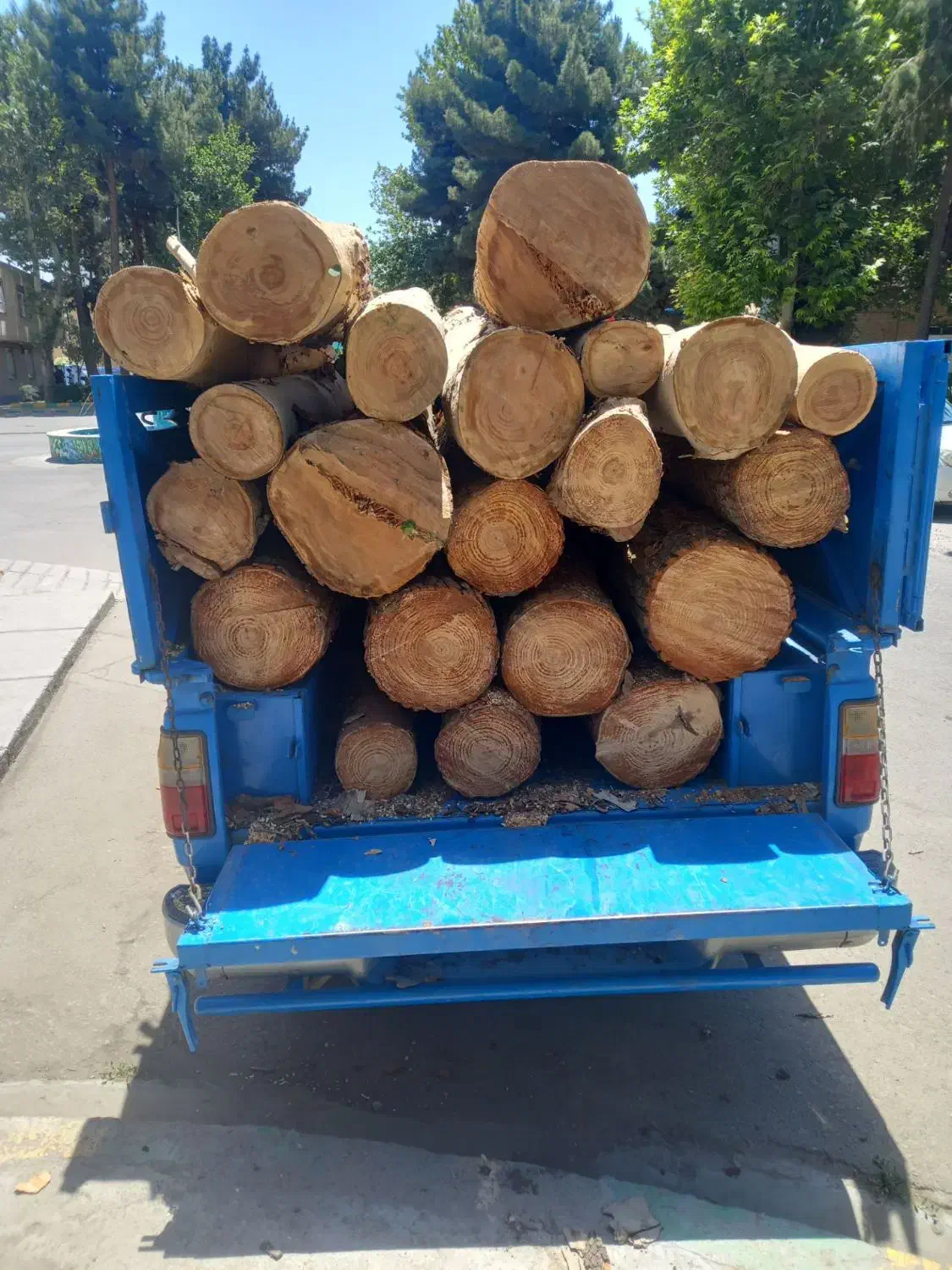 خرید چوب/درخت/قطع وبرش/هرس/حرس|خدمات باغبانی و درختکاری|مشهد, دوست آباد|دیوار