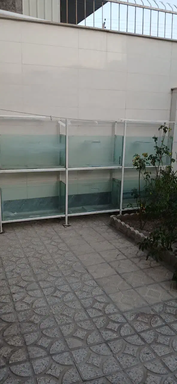 آکواریوم|ماهی|خوی, |دیوار