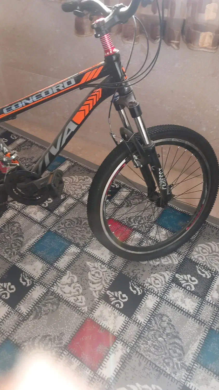 دوچرخه ۲۴ ویوا|دوچرخه، اسکیت، اسکوتر|رباط‌کریم, نصیرشهر|دیوار