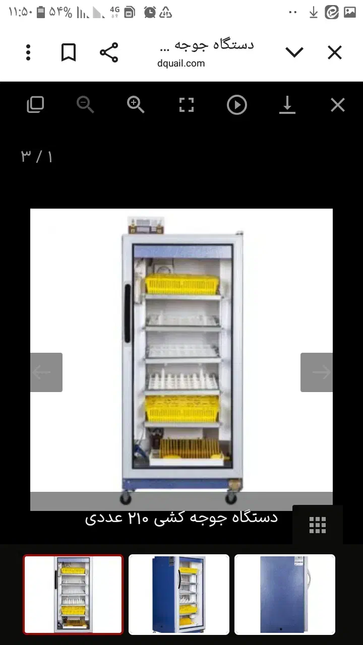 نمایندگی فروش و تعمیر جوجه کشی منطقه آزاد ماکو|لوازم جانبی حیوانات|شوط, |دیوار