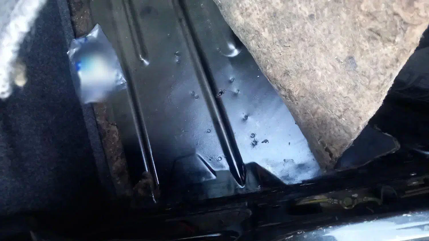 پژو مدل ۸۴ درحد خشک|خودرو سواری و وانت|بیرجند, |دیوار