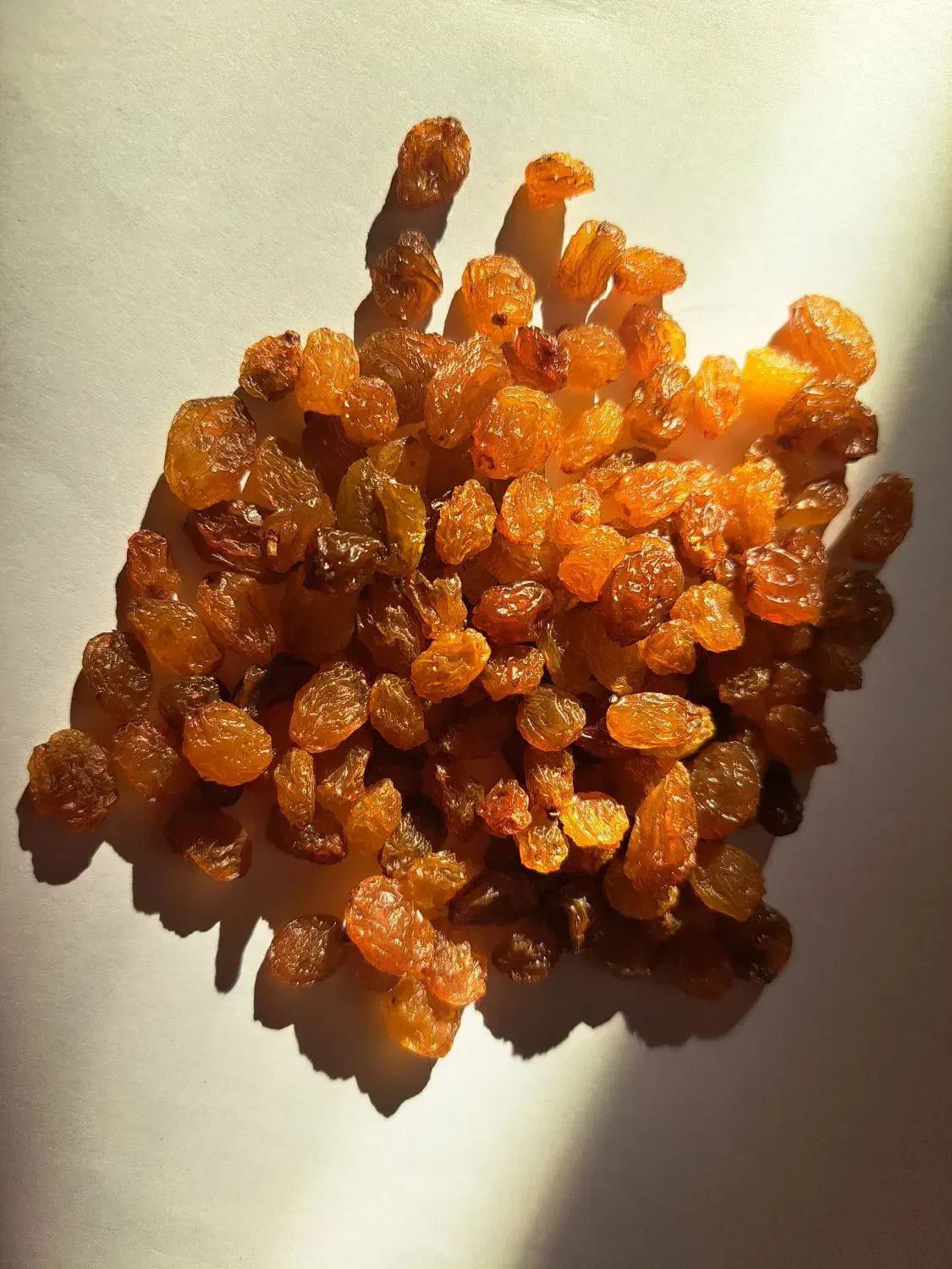 کشمش قوچان|خوردنی و آشامیدنی|مشهد, ایثارگران|دیوار