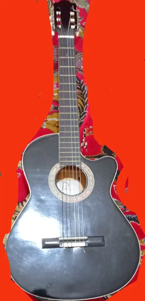 گیتار کورت|گیتار، بیس، امپلیفایر|پلدختر, |دیوار