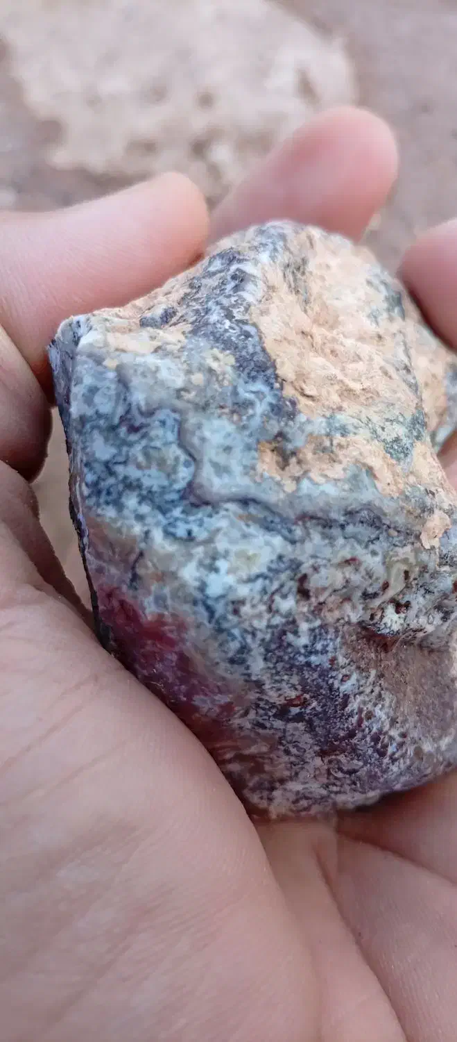 شجر|جواهرات|رفسنجان, |دیوار