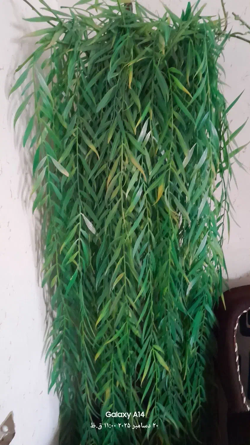 گل مصنوعی زیبا|گل مصنوعی|رشت, پاره بیجار|دیوار