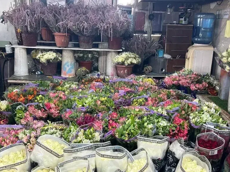 شراکت گلفروشی خانم|گل و گیاه طبیعی|گلستان (تهران), |دیوار