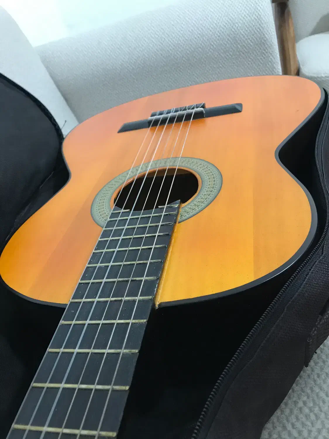 گیتار|گیتار، بیس، امپلیفایر|مرند, |دیوار