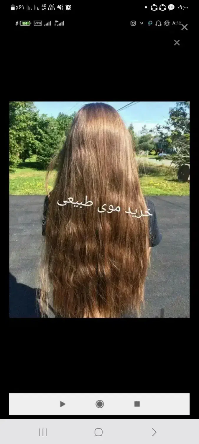 صادرکننده موی خام و رنگی به بالاترین قیمت|خدمات آرایشگری و زیبایی|هشتگرد, شهرک مهستان ۲|دیوار