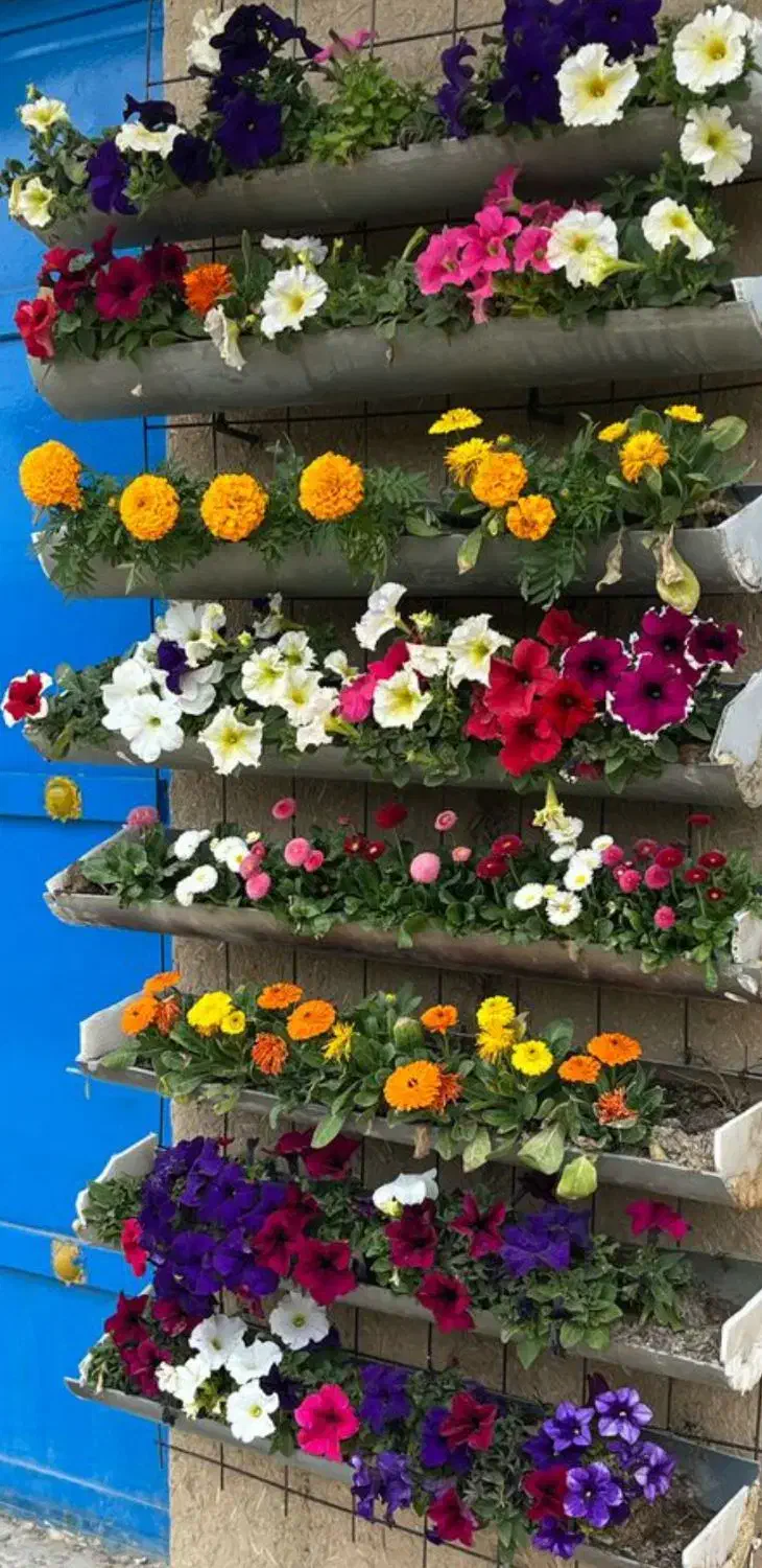 اجاره ویلا باغ برا جشن تولد و مراسم عقد|اجارهٔ کوتاهمدت ویلا و باغ|بهبهان, |دیوار