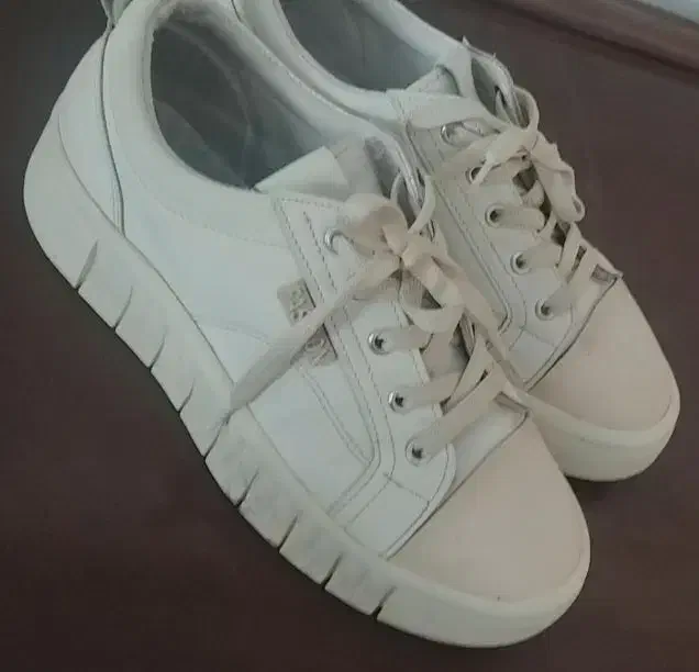 کفش نو|کیف، کفش، کمربند|نیشابور, شهرک اندیشه|دیوار